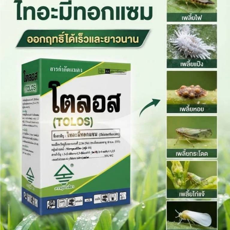 โตลอส สารไทอะมีมอกแซม เป็นสารกำจัดแมลงแบบดูดซึม ป้องกันและกำจัด แมลงปากดูด พร้อมส่ง
