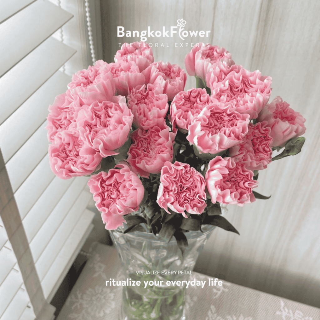 **รบกวนสอบถามก่อนกดสั่งซื้อ**ดอกคาร์เนชั่น ดอกไม้สด** (20 ดอก/กำ)