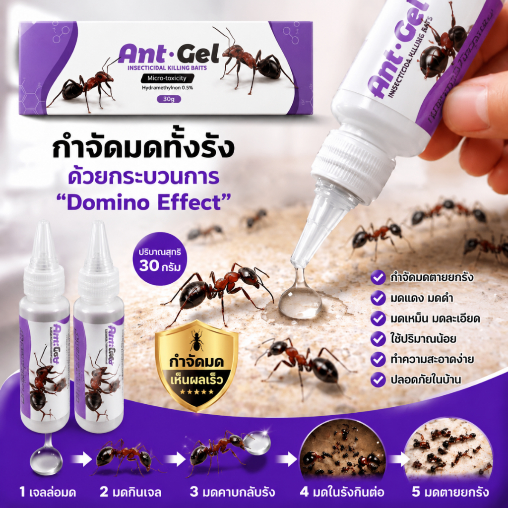เจลกำจัดมด กำจัดมด ยกรัง ไร้กลิ่น ไม่ฟุ้งกระจาย 30 กรัม ยาฆ่ามด กําจัดมด ยาฆ่ามดเห็นผลไ