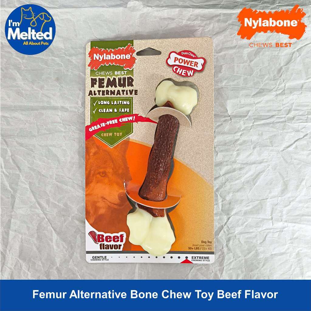 Nylabone - Femur Alternative Bone Chew Toy Beef Flavor  ของเล่นเคี้ยว สำหรับสุนัข