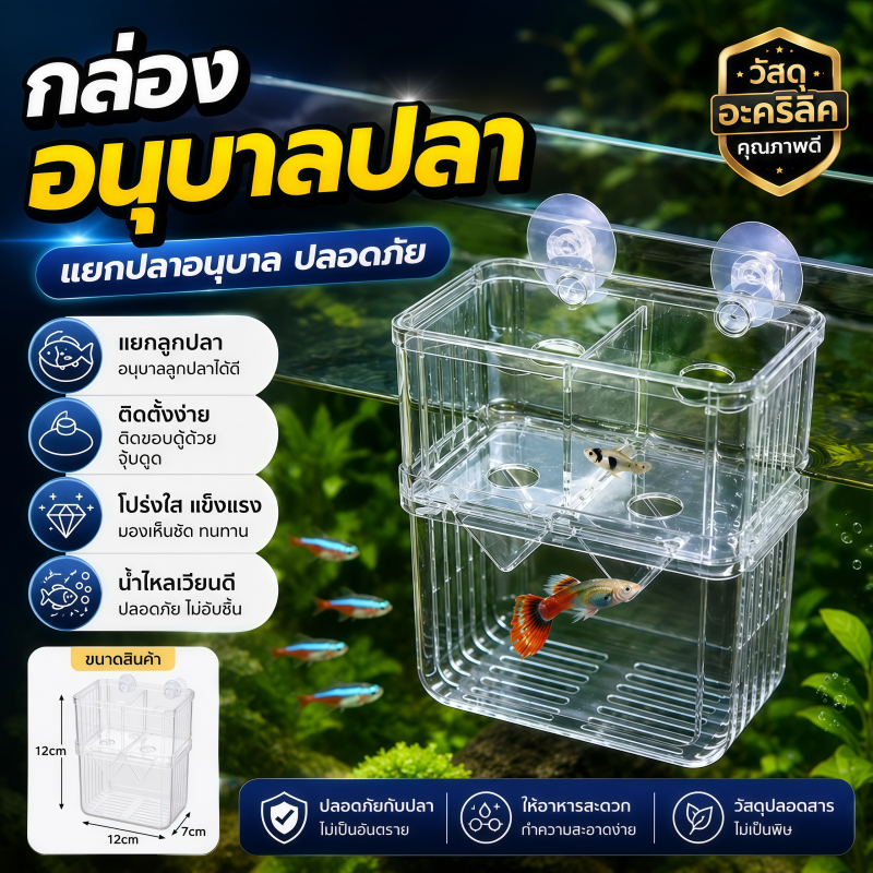กล่องเพาะพันธุ์ปลา แยกแม่ปลากับลูกปลา ใสโปร่งเห็นชัด ให้อาหารสะดวก ป้องกันปลากัดกัน วัสดุแข็งแรง ตู้ปลาทั่วไปใช้ได้
