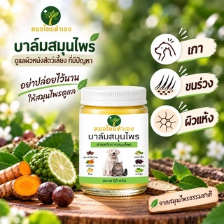ครีมบาล์มดูแลผิวหนังสัตว์เลี้ยง ที่มีปัญหา สูตรสมุนไพร สำหรับสุนัข แมว 20-50 กรัม หมอไทยทำเอง