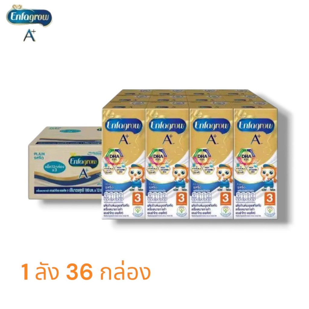นมกล่อง Enfagrow UHT A+ เอนฟาโกร เอพลัส สูตร 3 ชนิดจืด 36 กล่อง