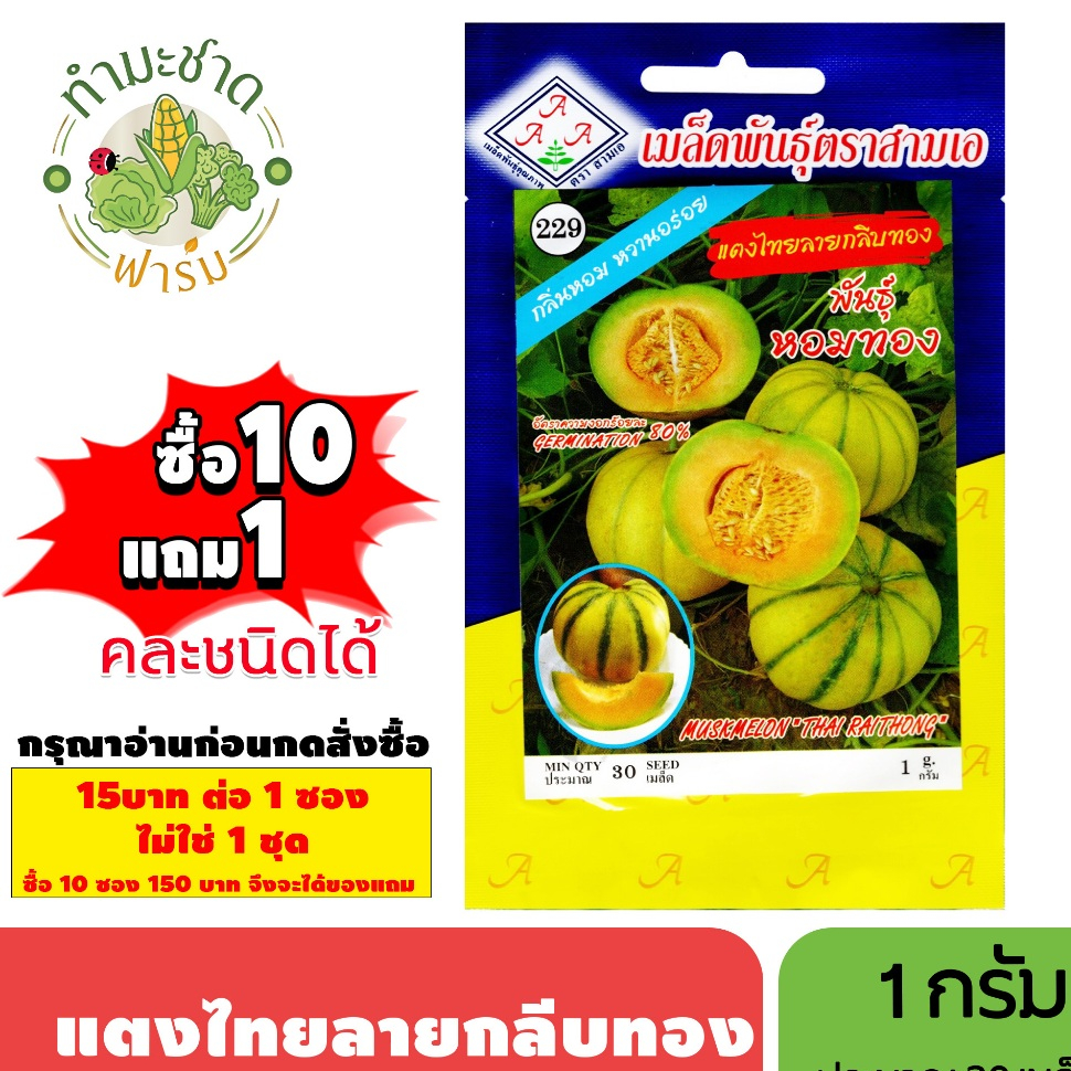 [1ซอง] 3A (ซื้อ10แถม1) เมล็ดพันธุ์ แตงไทยลายกลีบทอง ขนาด1กรัม ประมาณ30เมล็ด MUSKMELON แตงไทย เมล็ดพันธุ์พืช เมล็ดผัก ปลู