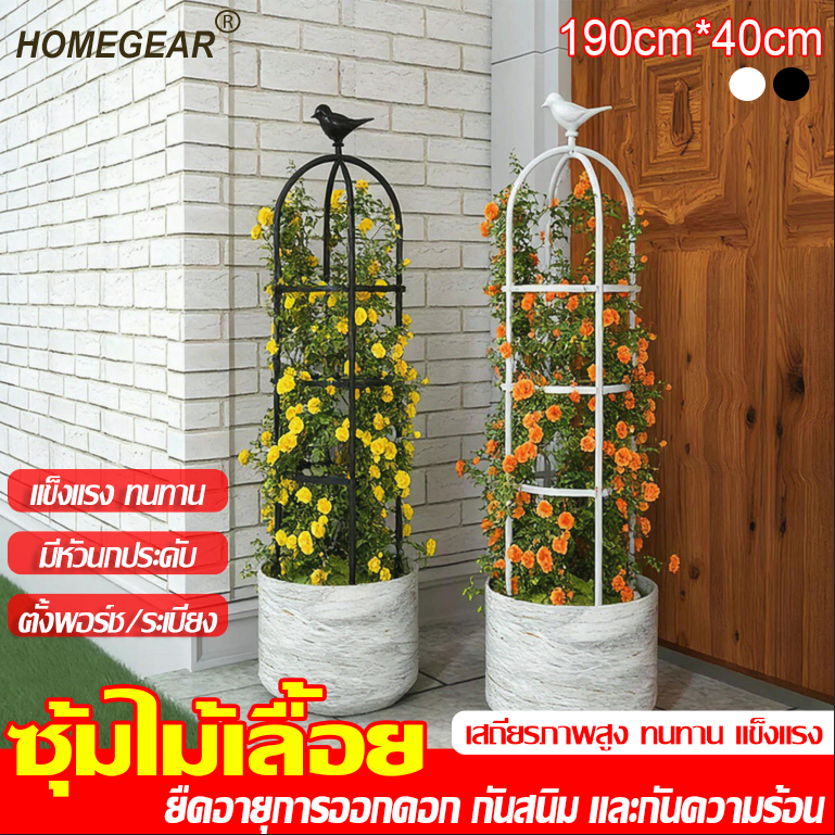 【งานจัดสวน​🌱】ซุ้มไม้เลื้อย โครงสร้างแนวตั้ง ใช้พื้นที่น้อย​ กระจายแสงแดดได้รอบด้าน​ รองรับน้ำหนักได้ดี​ ติดตั้งง่าย