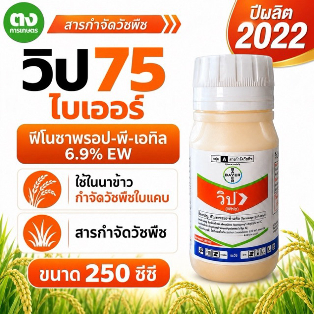วิป 75 ไบเออร์ 250 ซีซี ฟีโนซาพรอป-พี-เอทิล 6.9% EW สารกำจัดวัชพืช กำจัดหญ้าใบแคบ