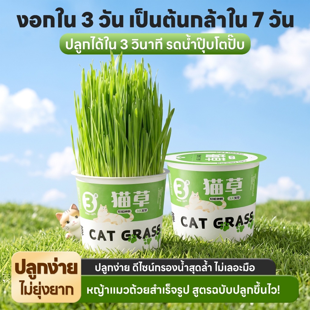 yoyopet : หญ้าแมว ชุดปลูกข้าวสาลี ชุดหญ้าออร์แกนิคพร้อมปลูก วิตามินแมว สำหรับหมา,แมว,หนู,กระต่ายฯลฯ รูปที่ 4