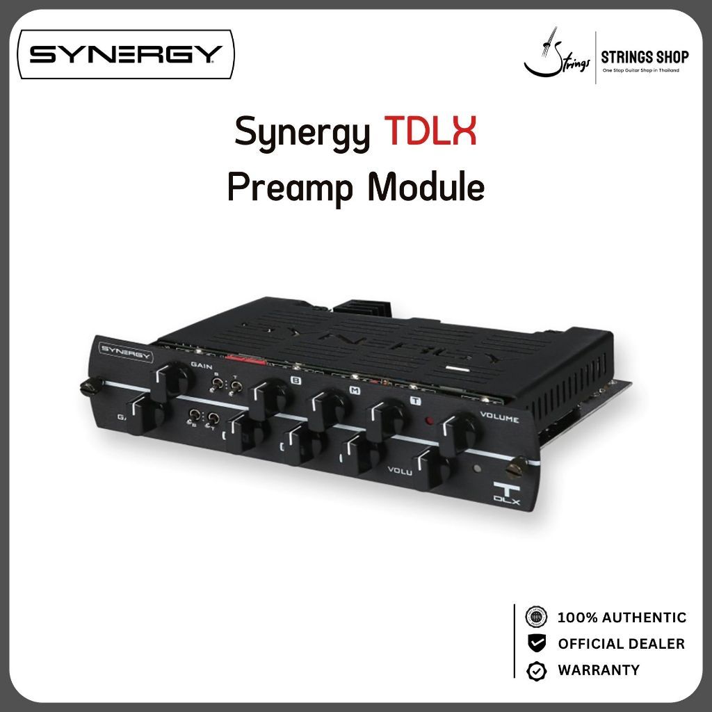 Synergy TDLX Preamp Module ปรีแอมป์หลอดกีตาร์ 2 แชนแนล American Vintage Clean & Tweed Tone 2x12AX7