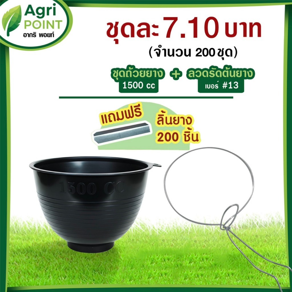 ชุดถ้วยรองน้ำยาง+ลวดยาง #13 ขาหยัก (แถมลิ้นยาง)