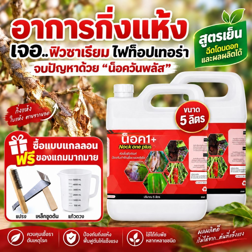 น็อควันพลัส 5 ลิตร ป้องกันและรักษาเชื้อราพืช ไวรัส แบคทีเรีย กิ่งแห้ง ฟิวซาเรียม ไฟท็อปเทอร่า ใบไหม้