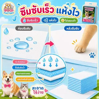 Thai.th แผ่นรองฉี่ Cocoyo สุนัขและแมว บ๊อกด็อก และ จิจิโกะ ดูดซับกลิ่น (มีราคาส่ง)