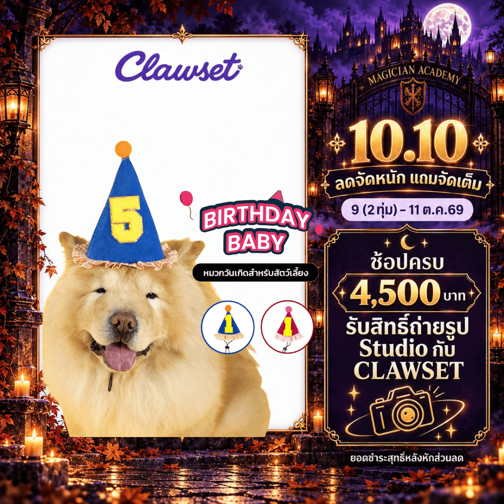 CLAWSET قبعة عيد ميلاد للحيوانات Birthday Baby — صورة 2