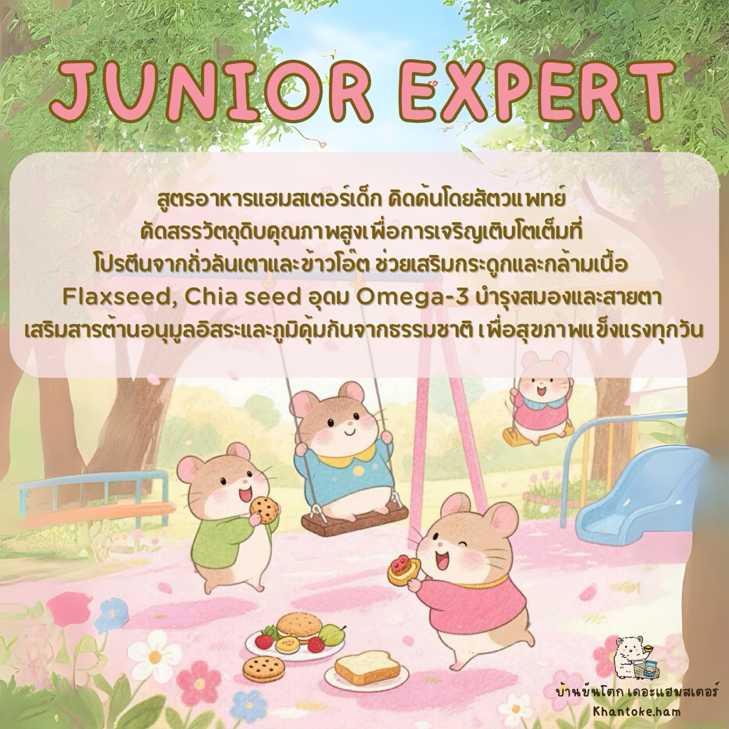อาหารแฮมสเตอร์ อาหาร แฮมสเตอร์เด็ก 250g อายุ 0-6เดือน เน้นให้ตัวแน่นแข็งแรง ฉบับบ้านขันโตก อาหารผสม แฮมสเตอร์
