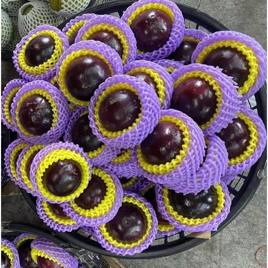 ต้นแอปเปิ้ลสตาร์ พันธุ์ไต้หวัน พันธุ์扁16品種 (เบี่ยงฉีโลว์ผิงโจว)นำเข้าจากจีน หรือพันธุ์ 16 รสชาติหวานกลมกล่อม นุ่ม เหนียว - รูปที่ 6