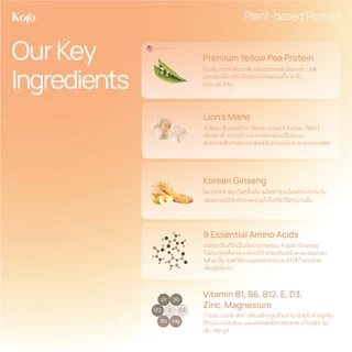 1 Box : Kojo Clear Protein 5 sachets โปรตีนพืชสูตรใส รสชาติชาพีช 1 กล่อง 5 ซอง