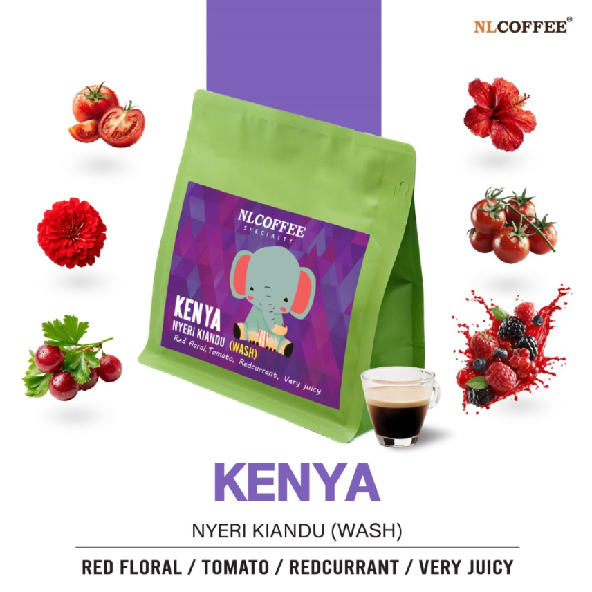 NLCOFFEE SPECIALTY เมล็ดกาแฟ Kenya Nyeri Kianbu (Wash) 200กรัม