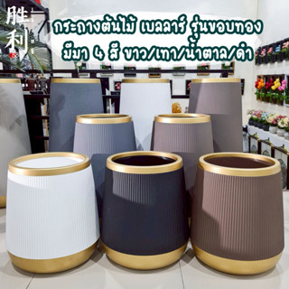 กระถางต้นไม้ มินิมอล กระถางเบลล่า ใบใหญ่ ทรงสูง ขอบทองสไตล์โ…