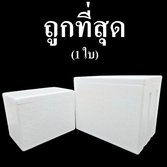กล่องโฟม ลังโฟม สำหรับแพคสิ่งของที่ต้องรักษาอุณหภูมิ