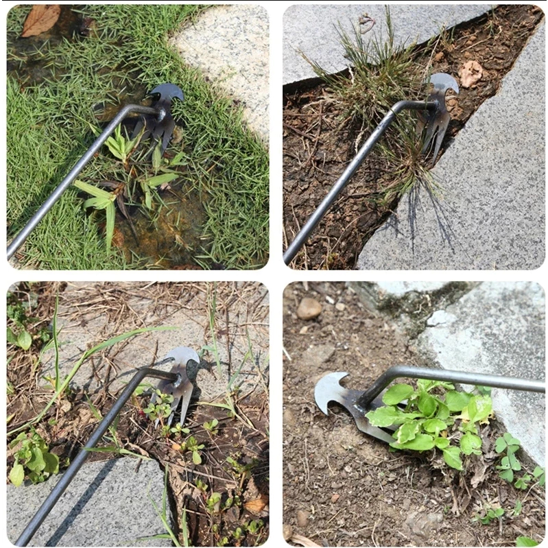 ปลีก/ส่ง คราด คราดเก็บหญ้า อุปกรณ์ทำสวน คราดเหล็ก หัวคู่จอบขุดดิน 11ฟัน ขุดหญ้า ขุดดิน คลายดิน คาดหญ้าเหล็ก คราดมีด้าม - รูปที่ 6