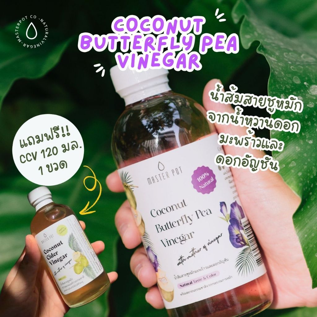 น้ำส้มสายชูหมักจากดอกมะพร้าวและดอกอัญชัน ขนาด240 มล. แถมฟรี CCV ขนาดพกพา120 มล. : แบรนด์มาสเตอร์พอต