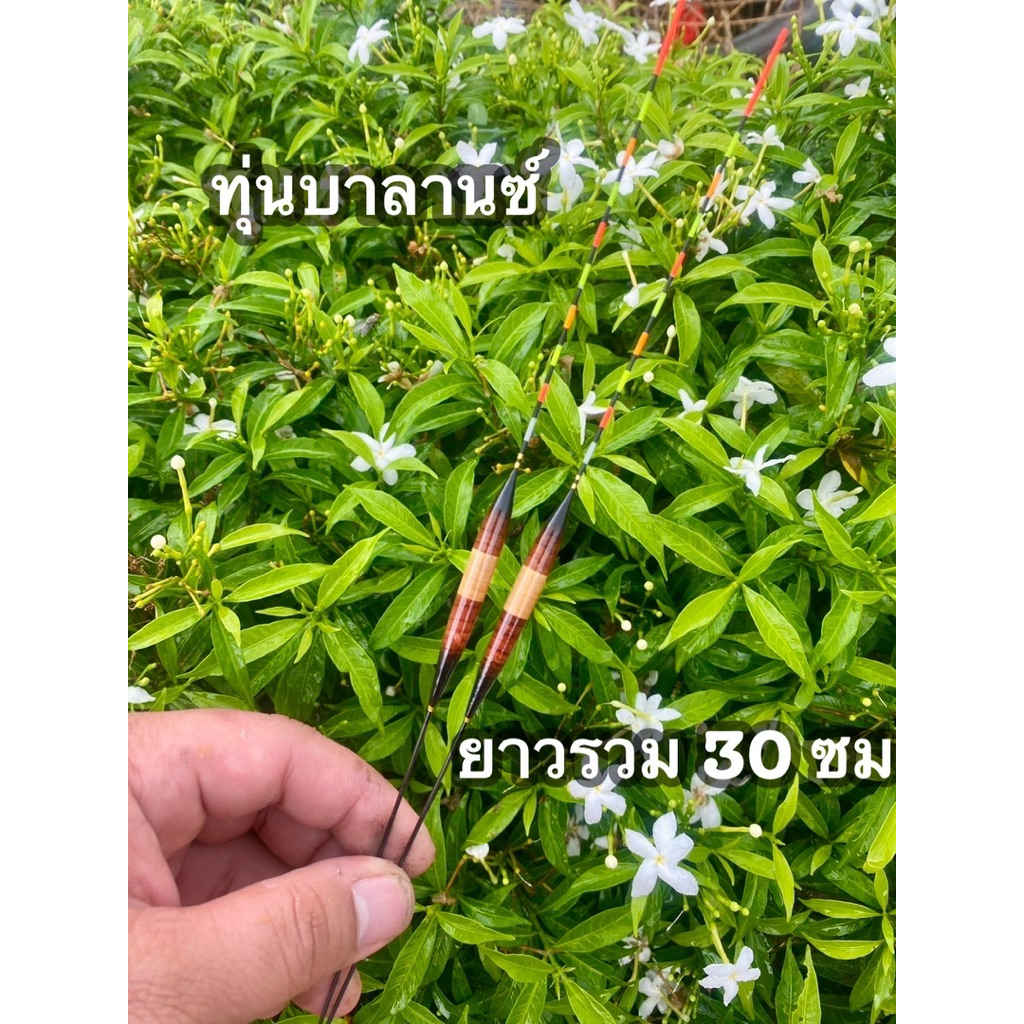 ทุ่นชิงหลิว ทุ่นบาลานซ์ (ราคา 1 ชิ้น) งานหนามจี้ ยาวรวม 30 ซม – โปรปัง