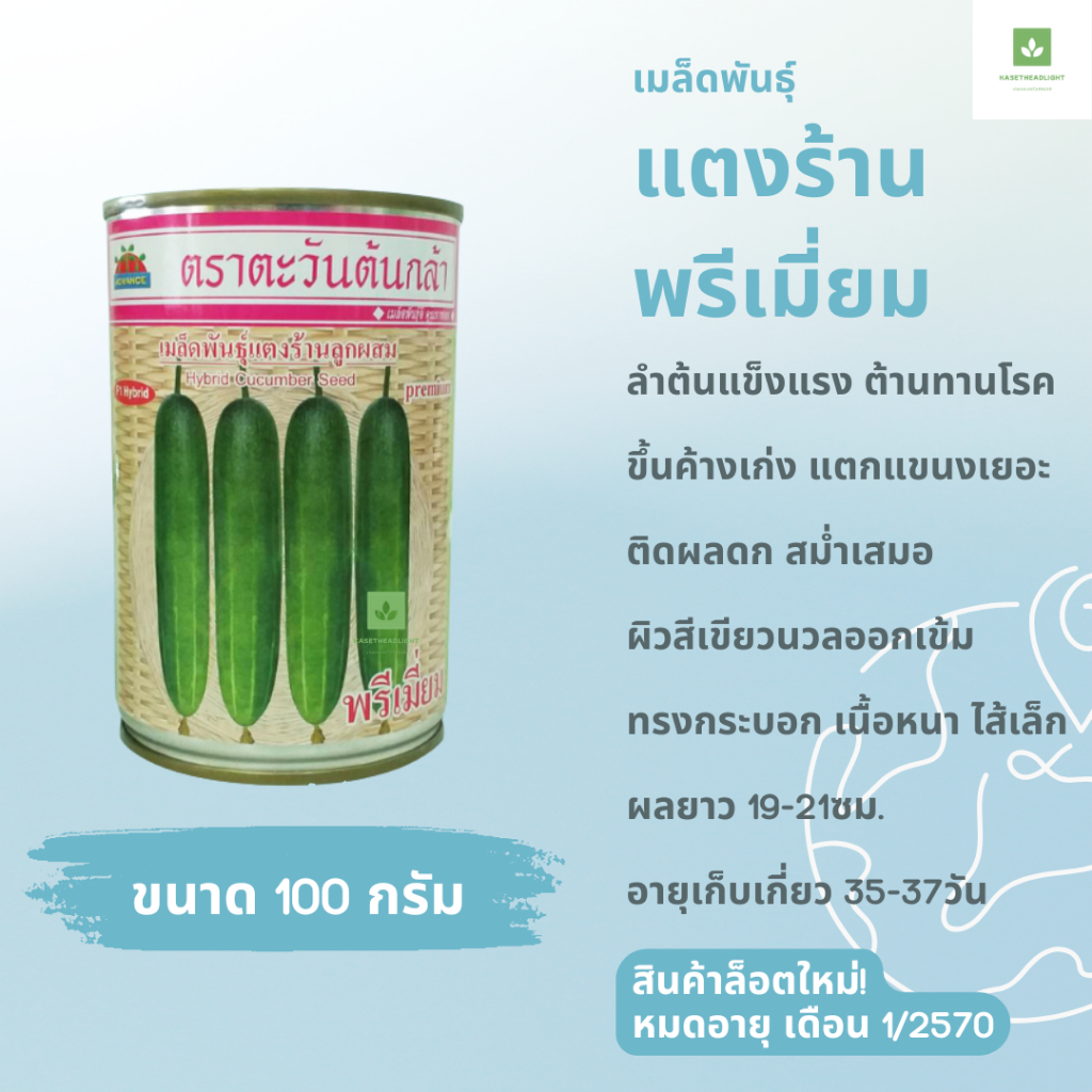 100กรัม แตงร้านพรีเมี่ยม เมล็ดพันธุ์ แตงร้าน ตะวันต้นกล้า แตงร้านพรีเมี่ยม - รูปที่ 2