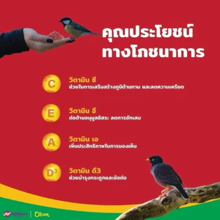 อาหารนก โอลิเวอร์ (Oliver) บำรุงขนและสมอง อาหารเม็ด สำหรับนกขุนทอง นกเอี้ยง ขนาด 1 กิโลกรัม
