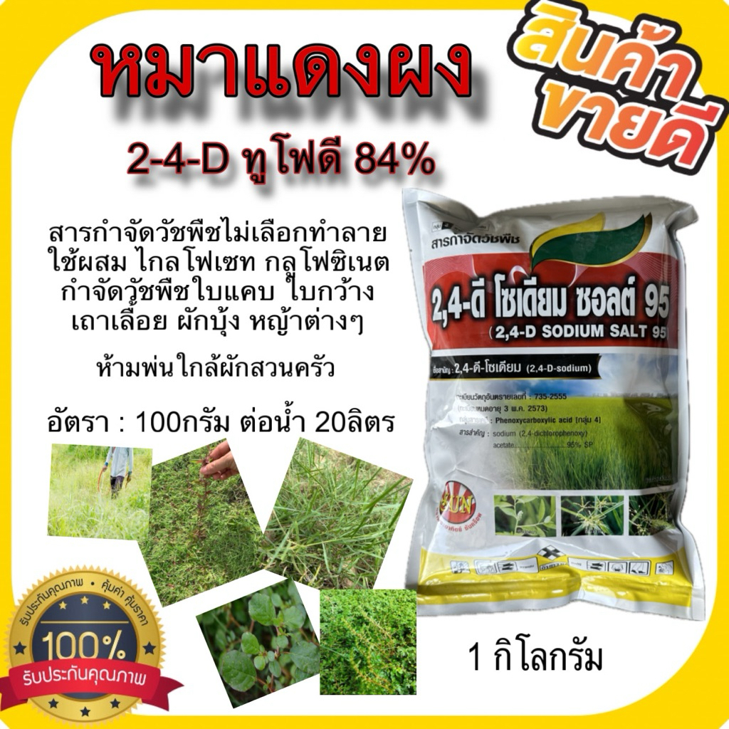 ซันครอป 2,4-D ทูโฟดี 96% 1กิโลกรัม สารกำจัดวัชพืชไม่เลือกทำลาย กำจัดวัชพืชใบกว้าง ใบแคบ หญ้าเถาเลื้อ