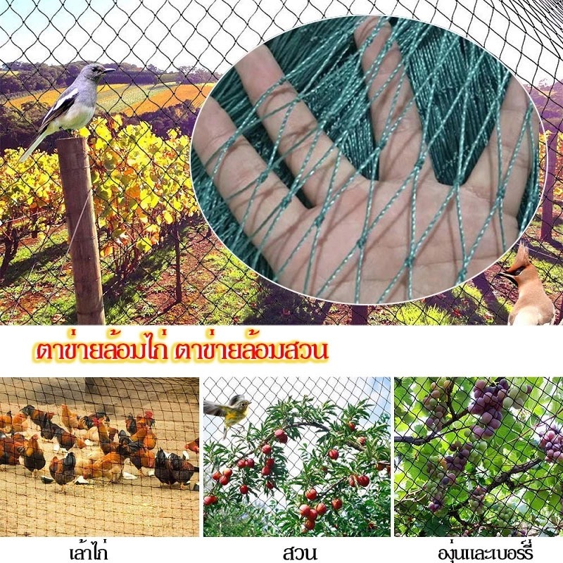 2gether ตาข่ายล้อมไก่ ตาข่ายไนล่อน