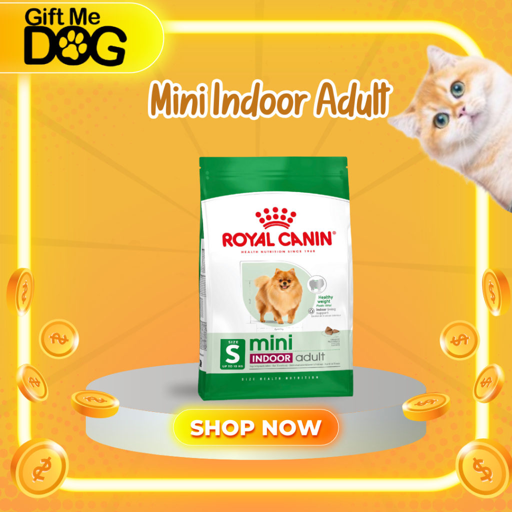 Royal Canin Mini Indoor Adult โรยัลคานิน อาหารเม็ดสุนัขโต พันธุ์เล็ก เลี้ยงในบ้าน อายุ10เดือน-8 ปี