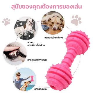 Pet Record ของเล่นสุนัข ของเล่นขัดฟันสุนัข ยางกัดแทะ ทำความสะอาดฟัน คุณภาพสูง วัสดุTPR ยางนุ่มปลอดภัย