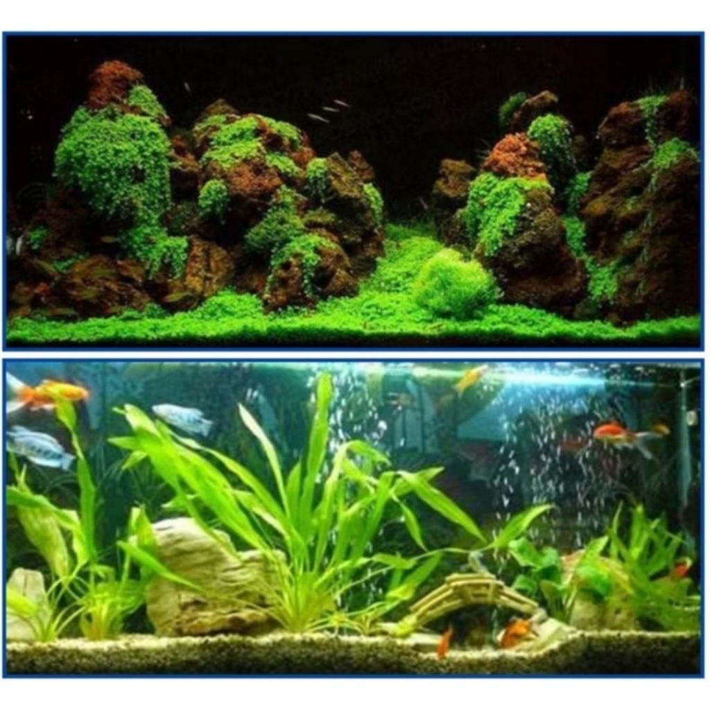 กาวติดไม้น้ำ (พร้อมส่ง) รูปที่ 7