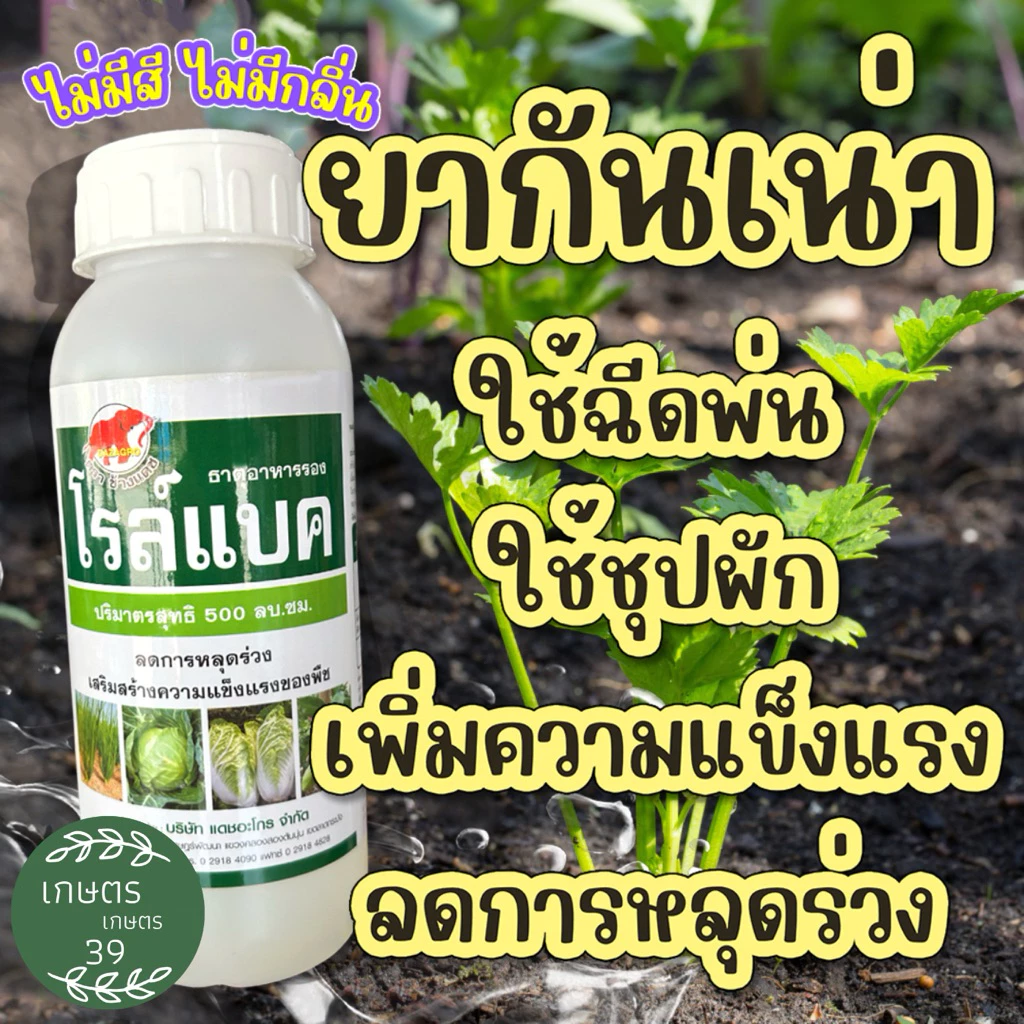 โรล์แบค💦 500มล. เสริมสร้างความแข็งแรงให้แก่พืช ✔️ฉีดพ่นป้องกันโรคเน่าที่เกิดจากเชื้อรา แบคทีเรีย