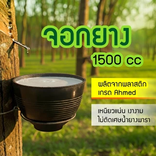 ถ้วยรองน้ำยาง จอกยาง กะลายาง 1500cc. (50ใบ / 100ใบ) แถมหัวเชื้อกรด 150ml
