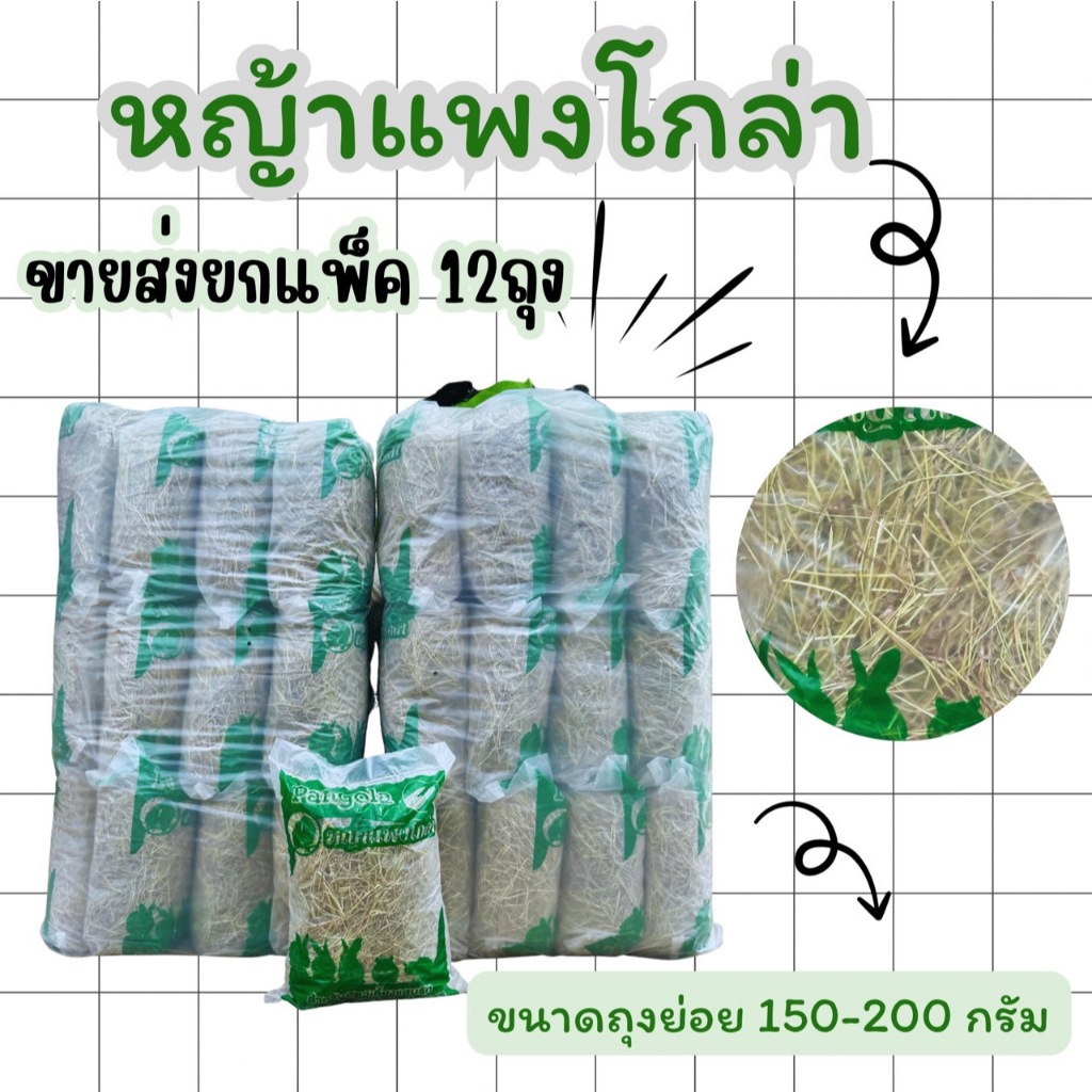 (ยกแพ็คสุดคุ้ม)หญ้าแพงโกล่า สำหรับสัตว์ฟันแทะ มีสารอาหารที่เป็นปรโยชน์ ขนาด200กรัม12ถุง