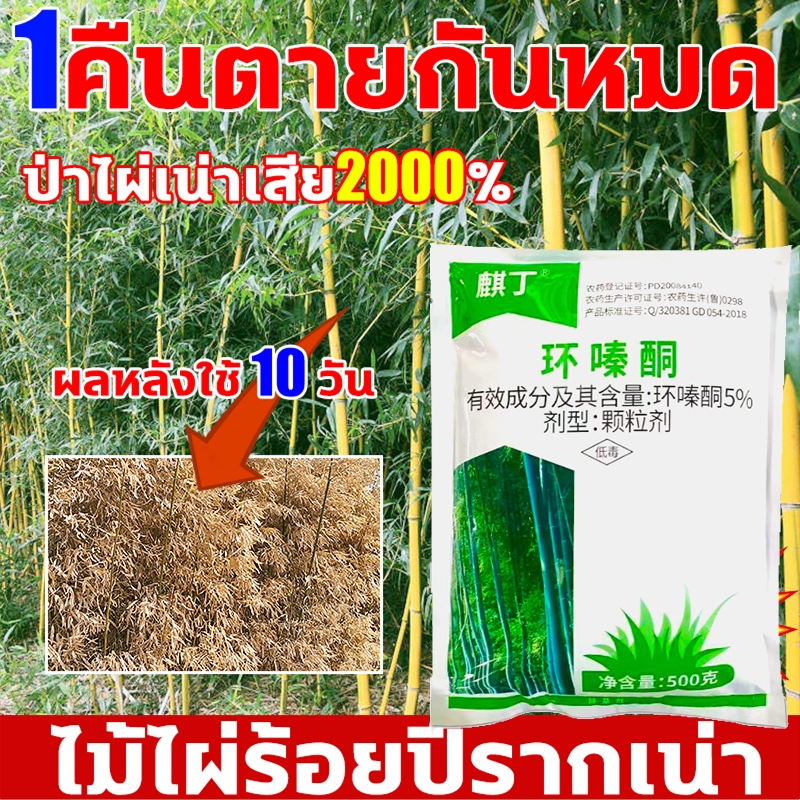 NEW! ยาฆ่ากอไผ่ 500g รากเน่ารากไม่ขึ้นอีกผงกำจัดกอไผ่   ยาฆ่าไม้ไผ่ ยาฆ่าไผ่ บอกลาการตัดต้นไม้ด้วยตนเอง สารกำจัดกอไผ่
