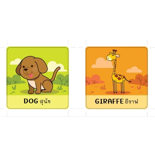 Board book บอร์ดบุ๊ค หนังสือคำศัพท์กระดาษแข็งฉีกไม่ขาด นิทานเด็ก หนังสือเด็ก คำศัพท์เด็ก หนังสือ ABC