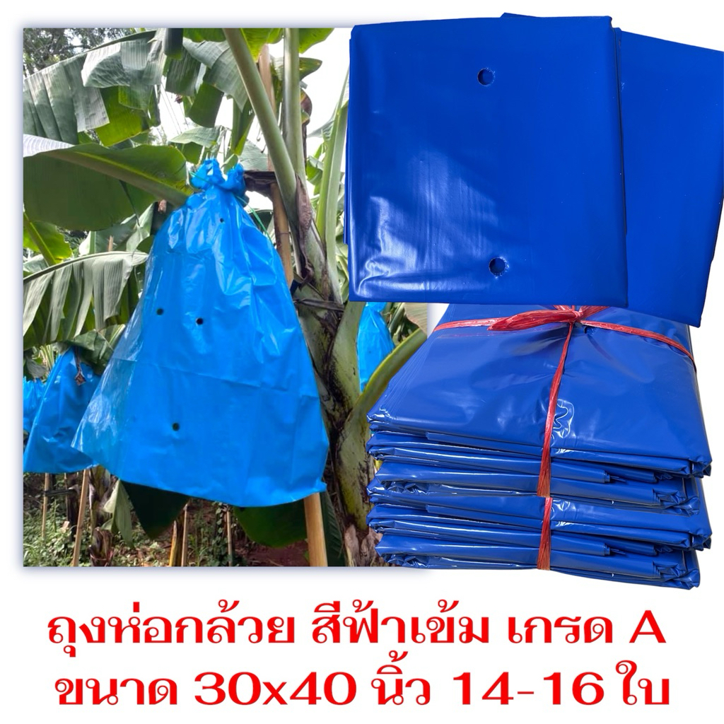 ถุงห่อกล้วยสีฟ้า แพค 1 กก. ขนาด 30x40 นิ้ว (14-15 ใบ) เกรด A ผลิตจากพลาสติก PE เหนียว ทนใช้ซ้ำได้หลายรอบ เจาะรูเรียบร้อย