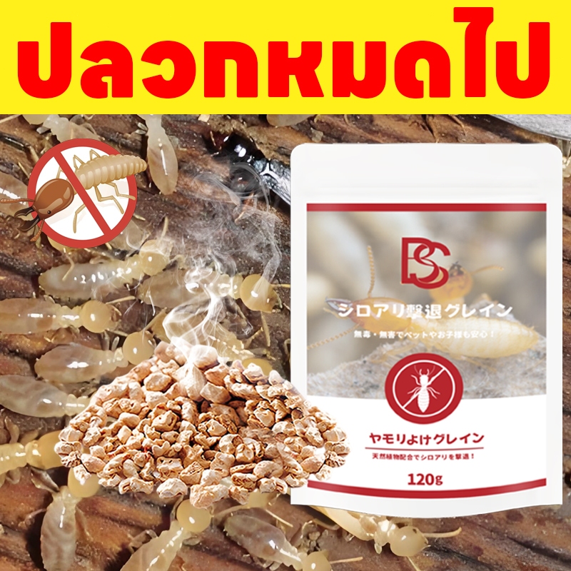 ปลวก: กูพังแล้ววว! เม็ดกำจัดปลวก ปลวก ยาฆ่าปลวก ยาปลวก เหยื่อปลวก เห็นผลไว ปลวกหายเกลี้ยง!