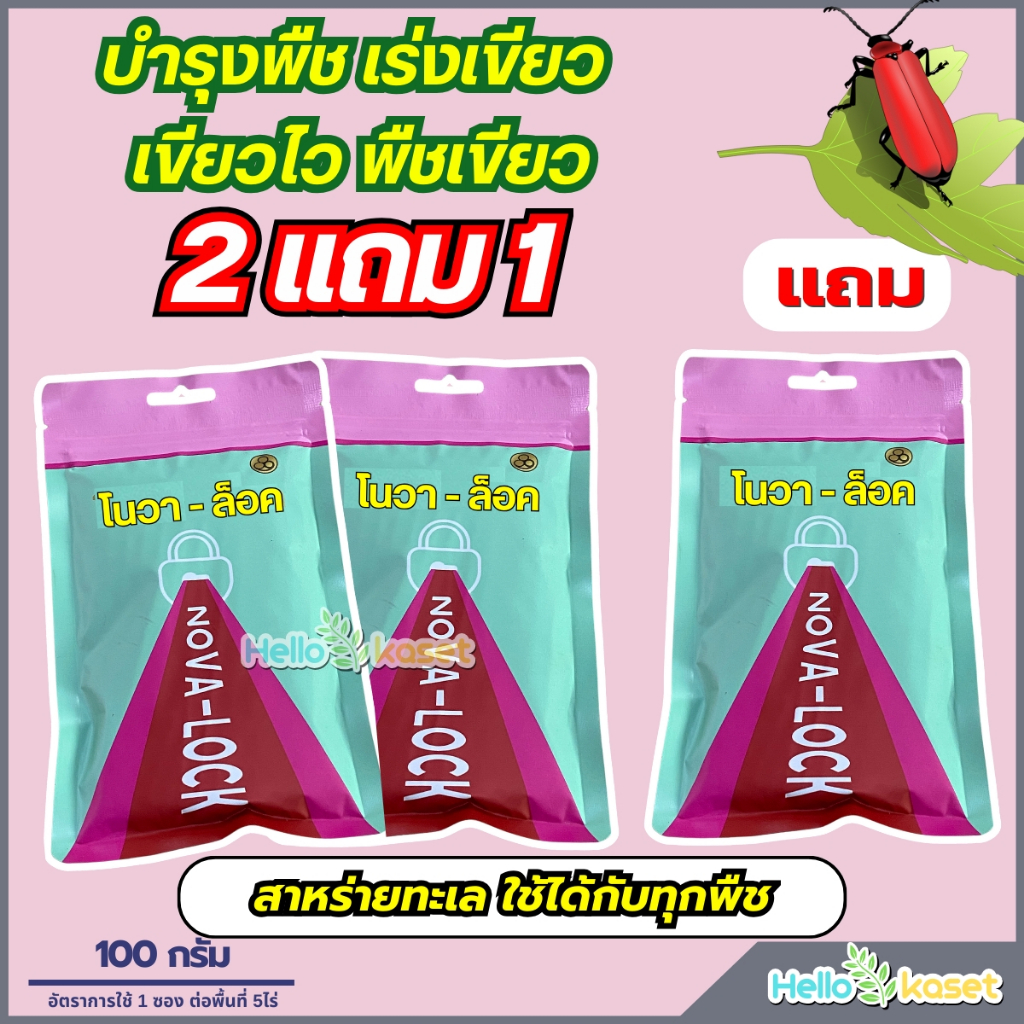 บำรุงพืช โปรโนวาล็อค 2 ซอง แถมฟรี 1 ซอง เร่งเขียว เขียวไว ขนาด 100 กรัม คือสาหร่ายทะเลแท้