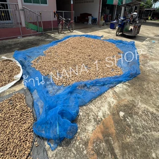 Insect Net ตาข่ายผ้ามุ้งฟ้า มีคุณสมบัติใช้ทำลานตากข้าว/ทำคอกสัตว์กันยุงและใช้ในการประมงช่วยยืดอายุก