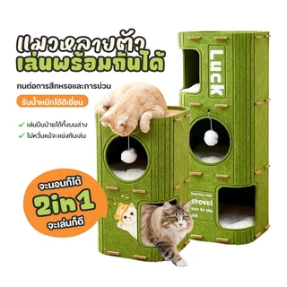 TUBI บ้านมีรู 2ชั้น 3ชั้น บ้านแมว ปราสาทแมว คอนโดแมว ตึกแมว คอนโดแมวทรงกระบอกดีไซน์ญี่ปุ่น🐾