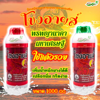 โขงอายส์ ขนาด 500 ซีซี และ1000 ซีซี ยาเร่งน้ำยาง ยาทาหน้ายาง น้ำยางออกดี ยาเร่งน้ำยาง กรีดง่าย ต้นไม่โทรม ของแท้ 100%