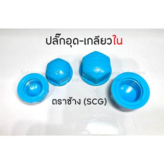 ปลั๊กอุดท่อ PVC - เกลียวใน ตราช้าง SCG หนา 13.5 ขนาด 1/2 และ…