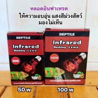 ชุดกกไฟ UVA และ UVB พร้อมใช้งาน