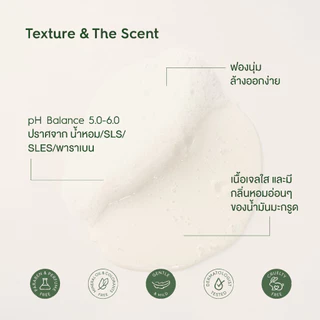 Kaff & Co. ทุกสภาพหนังศีรษะ-แห้ง คัน มีรังแค ผมชี้ฟู แชมพูมะกรูดและครีมนวดว่านหาง ขนาดเดินทาง 40 ml