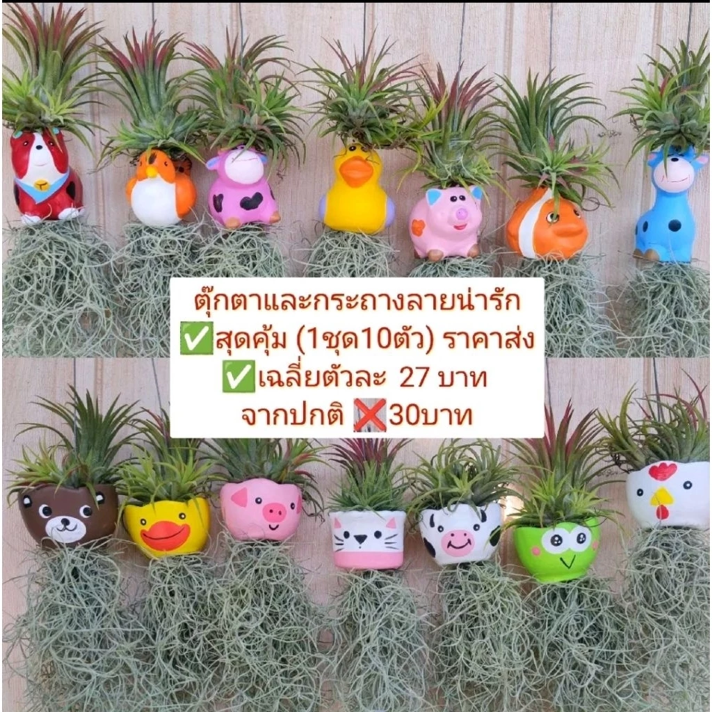 ((1ชุด10ชิ้น))เคราฤาษีแต่งตุ๊กตาสัตว์-กระถางเซรามิก-กระถางพลาสติกสีพาสเทล งานคุณภาพเคราสวยๆตรงปก