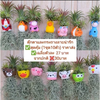 ((1ชุด10ชิ้น))เคราฤาษีแต่งตุ๊กตาสัตว์-กระถางเซรามิก-กระถางพลาสติกสีพาสเทล งานคุณภาพเคราสวยๆตรงปก