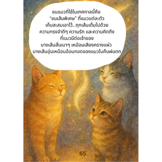 หนังสือ “ในวันที่แมวกลับดาว ”
