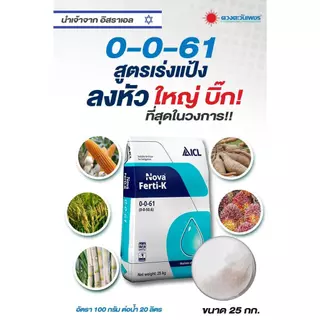 ปุ๋ยเกล็ด 0-0-61 ไฮฟ่า จากอิสราเอล ขนาด 25 กก โพแทสเซียมคลอไรด์ เร่งแป้ง เร่งลงหัว เพิ่่มน้ำหนัก